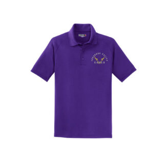Treasure Valley Rodeo 1 Logo Port Authority®Sport-Tek® Dry Zone® Raglan Accent Polo - T475